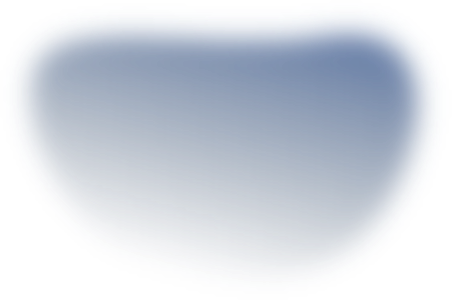 Who We Are BlueBinaries